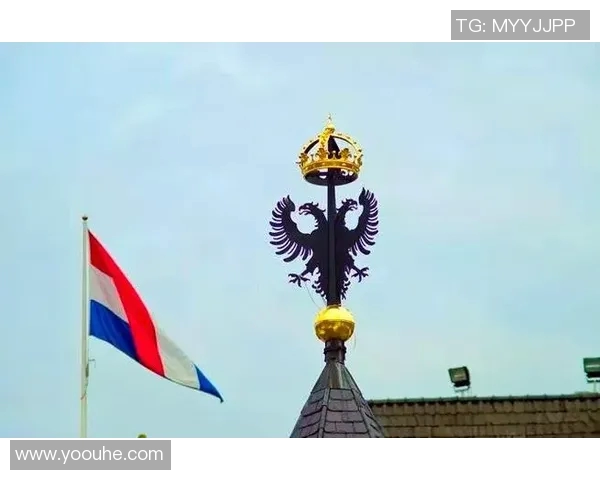 如何绘制加拿大足球明星的生动形象与独特风采技巧分享